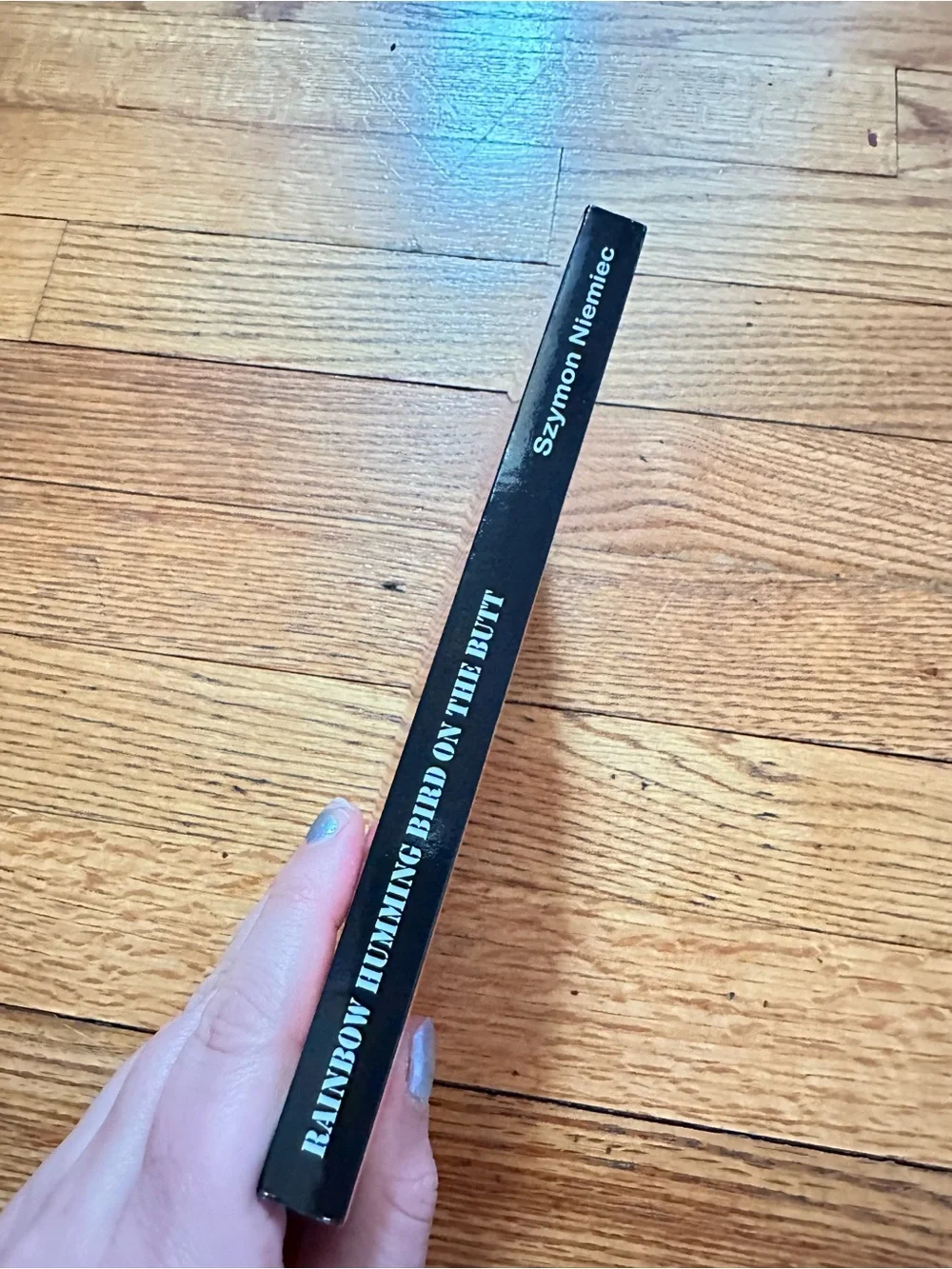 Rainbow Humming Bird on the Butt Szymon Niemiec LGBTQ+ Memoir Paperback